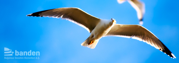 Bağımsız denetim banner görseli